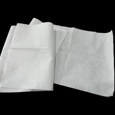 Spunlace PE-με επίστρωση Nonwoven Moisture-Proof Packaging Liner